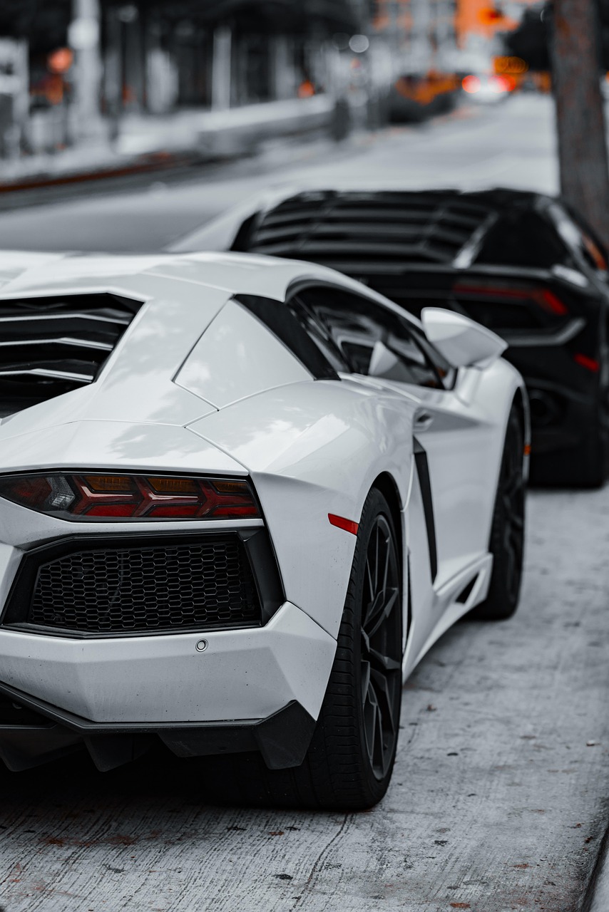 Autos, Supersportwagen, Luxusautos, Lamborghini, Corvette, schwarzes Auto, weißes Auto, Sportwagen, exotische Autos, Tageslicht, geparkte Autos, Autoreihe, schwarzer Lamborghini, weißer Lamborghini, schwarze Corvette, High-End-Fahrzeuge, Automobile, Autosammlung, Außenbereich
